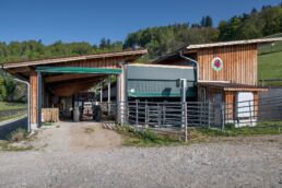 Neubau Mutterkuhstall