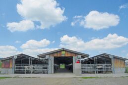 Neubau Einzelboxenstall für Wartestiere