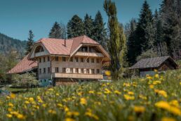 Rückbau / Neubau Bauernhaus