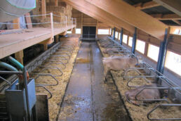 Neubau Milchviehlaufstall